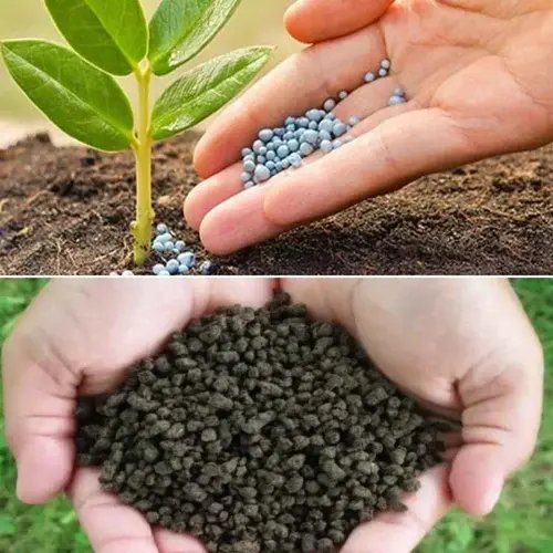 Bio Fertilizer