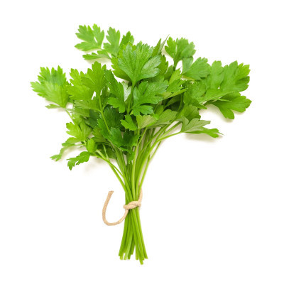 Coriander leaves (கொத்துமல்லி தழை) (₹20.00/1 கட்டு)