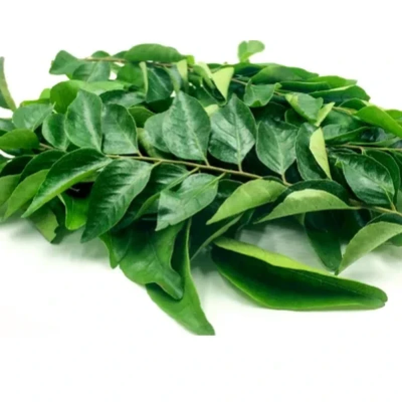 Curry leaves (கறிவேப்பிலை) (₹20.00/1 கட்டு)