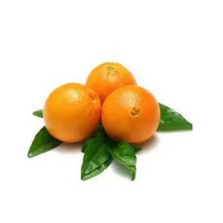 Orange - 500 gm - ₹80