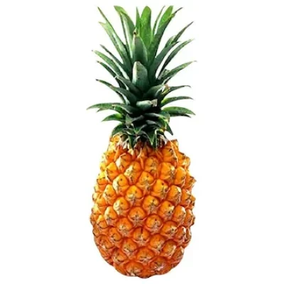 Pineapple (அன்னாசி) (₹60.00 /1 Kg)