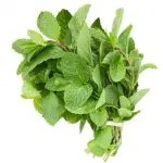 Pudhina (புதினா கட்டு) - 1 PC - ₹30