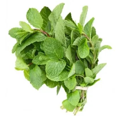 Pudhina (புதினா கட்டு) - 1 PC - ₹30