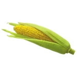 Sweet Corn (இனிப்பு சோளம்) (2pcs - Rs.35)