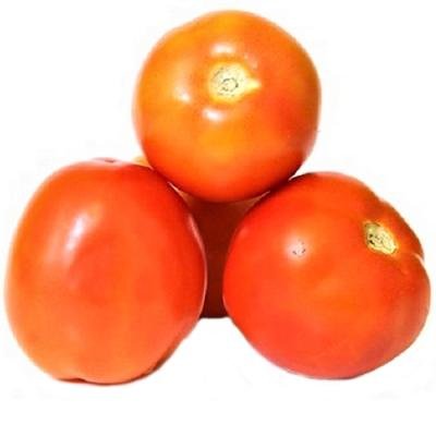Tomato - 500 gm - ₹45