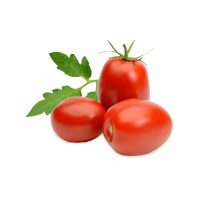 Tomato - 500 gm - ₹45