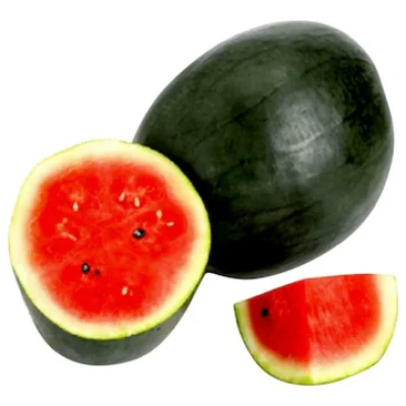 Watermelon (தர்பூசணி) (₹25.00/1 kg)